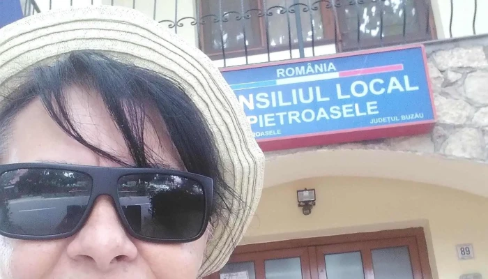 Primaria Pietroasele Instagram - Str. Principala, Dj205 188