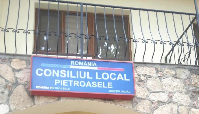Primaria Pietroasele Videoclipuri - Str. Principala, Dj205 188