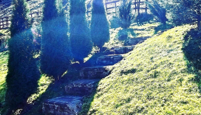 Primaria Rusca Montana Peisaj - Rusca Montană