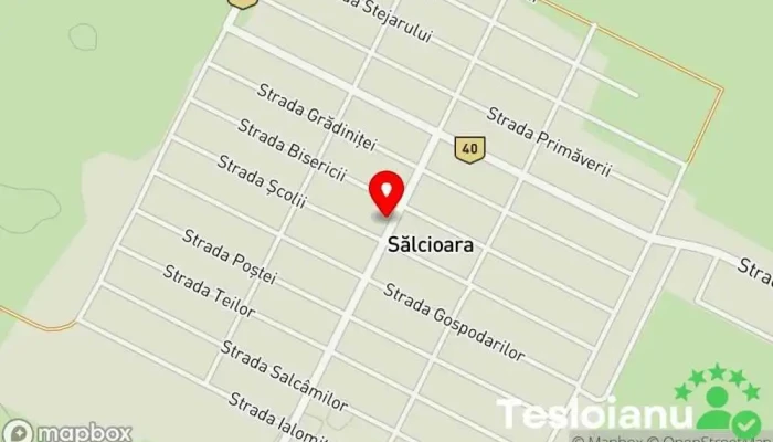 hartă a Primaria Salcioara Primărie în Sălcioara