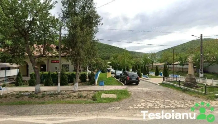 Primaria Slava Cercheza - România