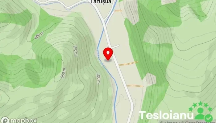 hartă a Primăria Târlișua Primărie în Târlișua
