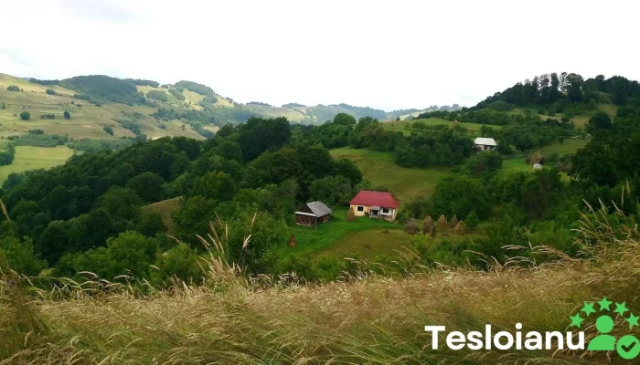 Primaria Tarlisua Locație - Târlișua