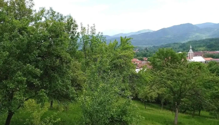 Primaria Teregova Peisaj - Teregova