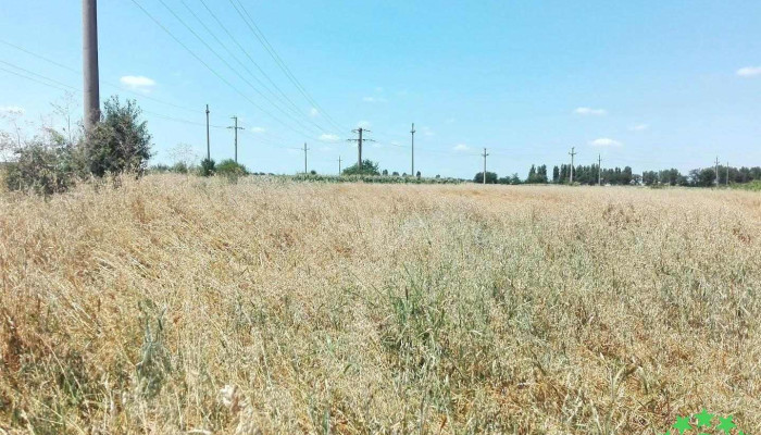 Primăria Buturugeni - Buturugeni
