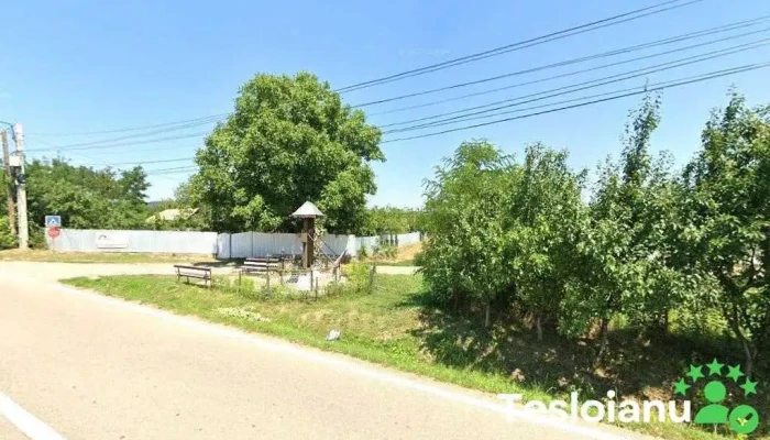 Primăria comunei Ruginoasa - Ruginoasa