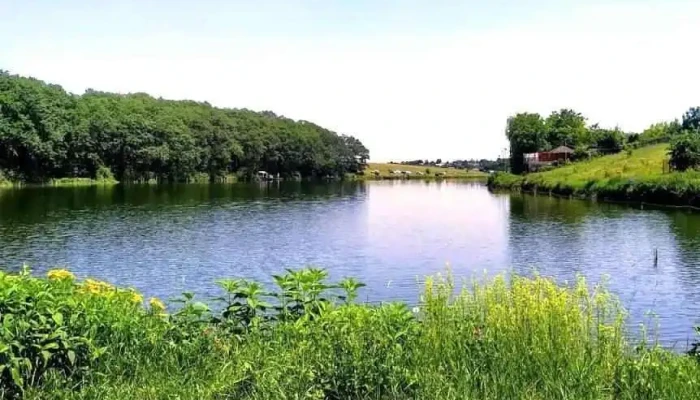 Primăria Moara Vlăsiei - Moara Vlăsiei