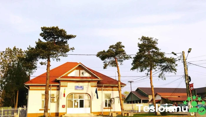 Primăria Poșta Câlnău - Poșta Câlnău