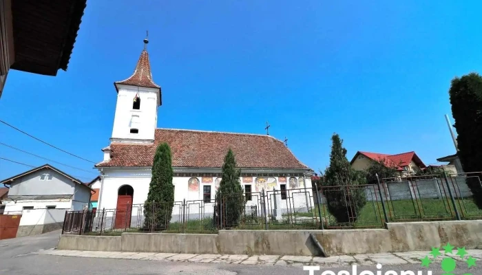 Primăria Sânpetru - Sânpetru