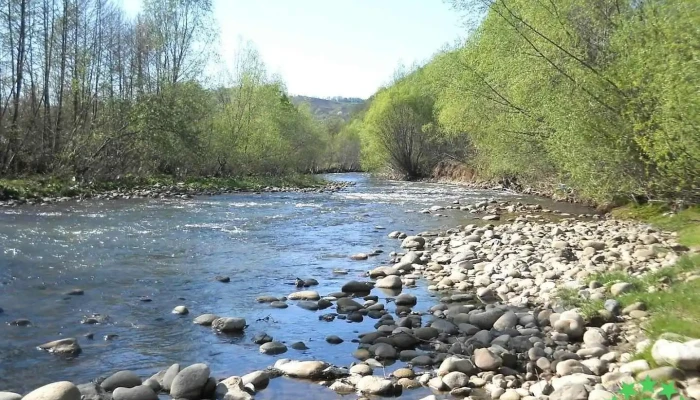 Primăria Zăvoi - Zăvoi