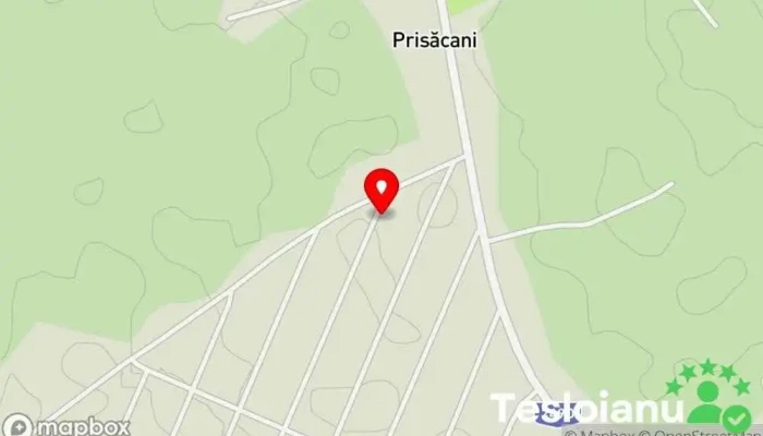 hartă a Prisăcani  în Prisăcani