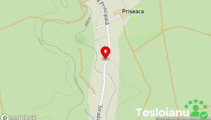 Priseaca - Priseaca