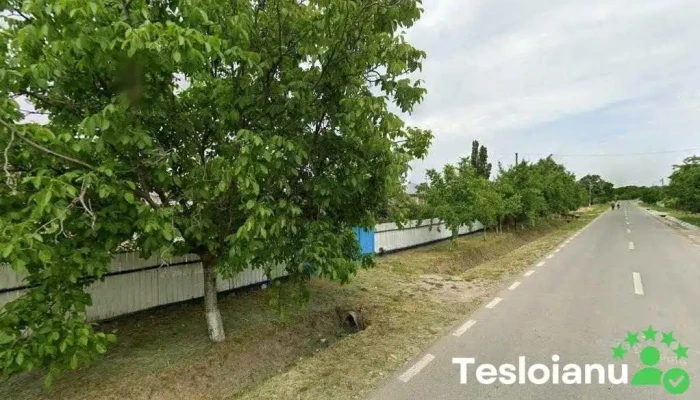 Produs in Prisacani - Prisăcani 707390