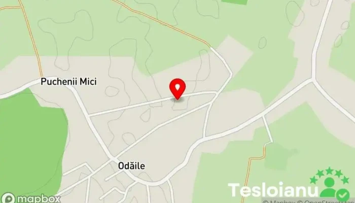 hartă a Puchenii Mici  în Puchenii Mici