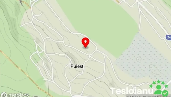 hartă a Puiești  în Puiești