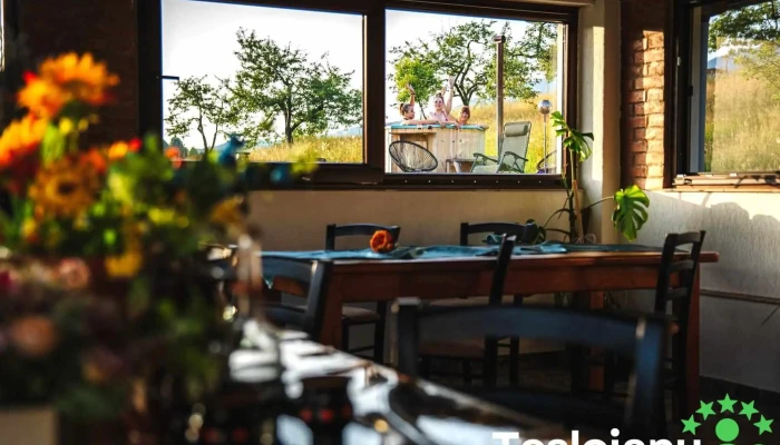 Punct Gastronomic Local Grădina Sânzienelor - Susenii Bârgăului 427231