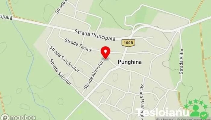 hartă a Punghina  în Punghina