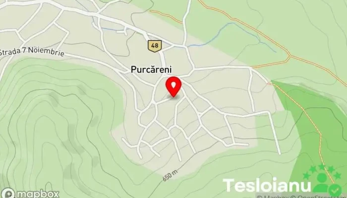 hartă a Purcăreni  în Purcăreni
