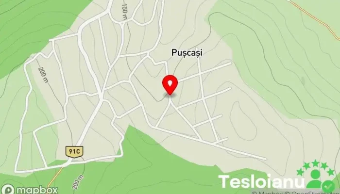 hartă a Pușcași  în Pușcași
