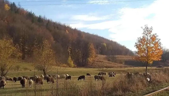 Putna -  Munte - Romania