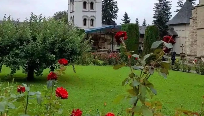 Putna -  Videoclipuri - Putna