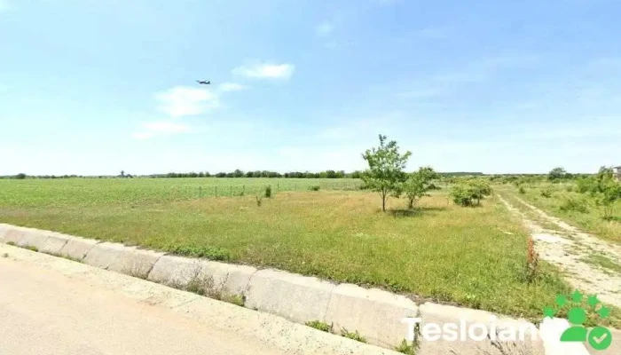 Pădurea Felix - Corbeanca