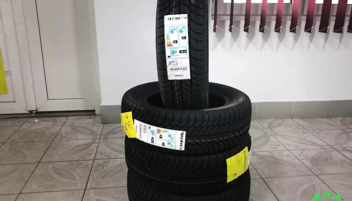 Quality Auto -  Interior - Bosanci