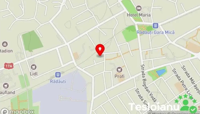 hartă a Rădăuți  în Rădăuți