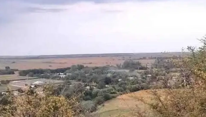 Radovanu - Radovanu