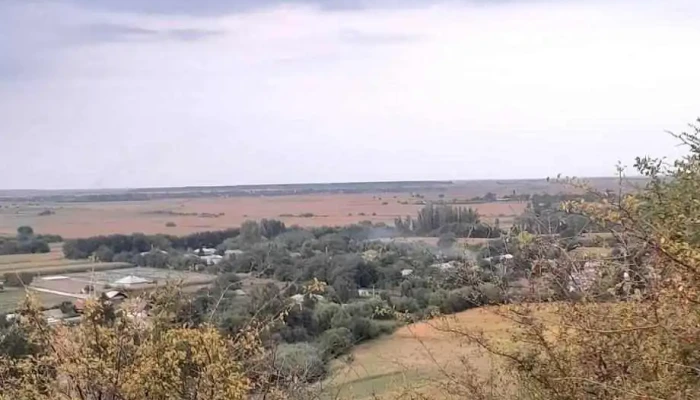 Radovanu -  Recenzii - Radovanu
