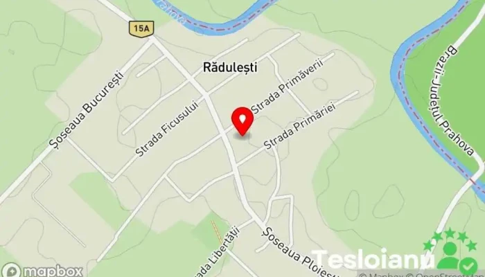 hartă a Rădulești  în Rădulești