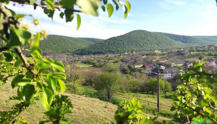 Raiul Lipovenilor - Slava Cercheză 827200
