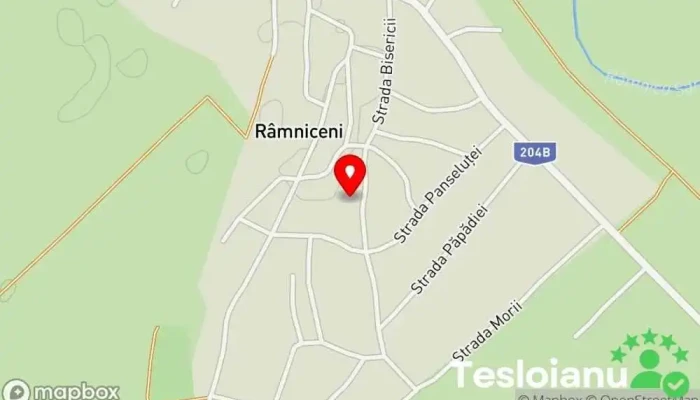 hartă a Râmniceni  în Râmniceni