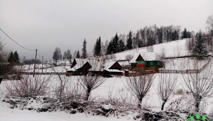Rasca Fotografii - Râșca