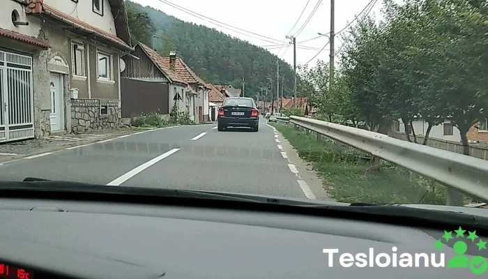 Rasinari Videoclipuri - Rășinari