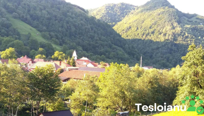 Rau Sadului Munte - Râu Sadului