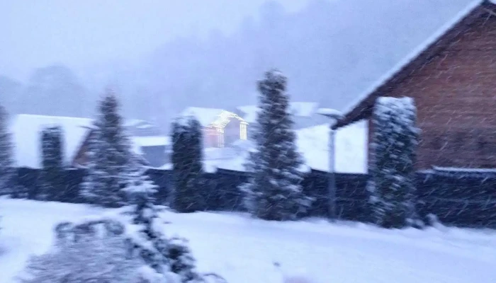 Rau Sadului Sat De Vacanta Cabana - Râu Sadului