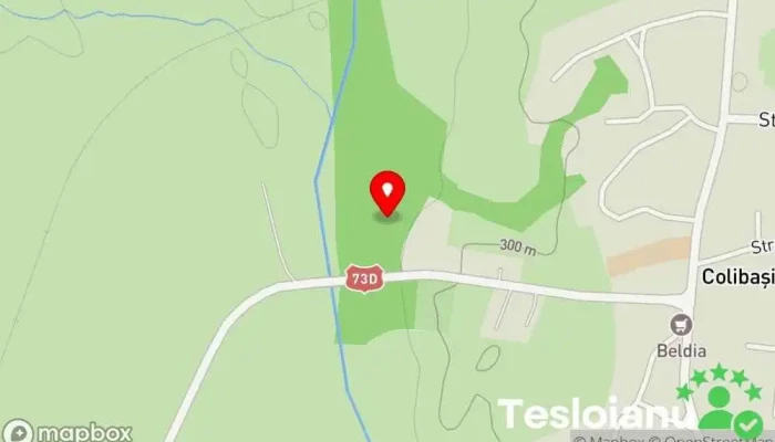hartă a Râul Miceşti Râu în Mioveni