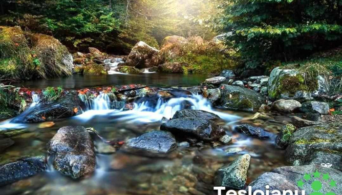 Remeți - Remeți