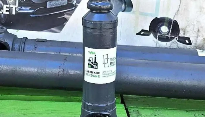 Reparatii-cardane.eu - Domnești 077090