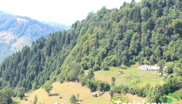 Repedea -  Munte - Repedea