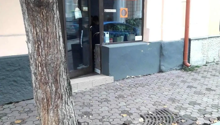 Restaurant Lacto -  Vegetarian Program - Bistrița