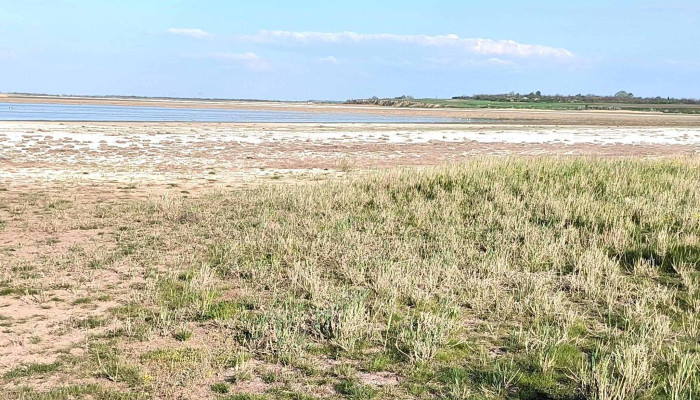 Rezervatia Naturala Balta Amara Reduceri - Amara
