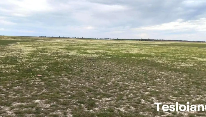 Rezervația Naturală Balta Amară - Amara