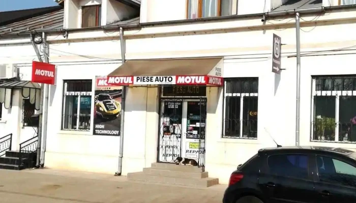 Ricu Auto Serv - Roșiori De Vede 145100