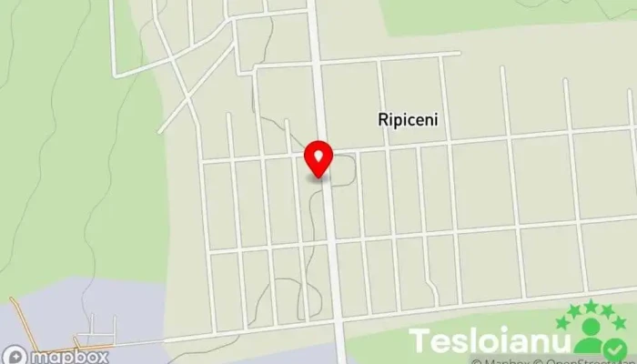 hartă a Ripicenii Vechi  în Ripicenii Vechi