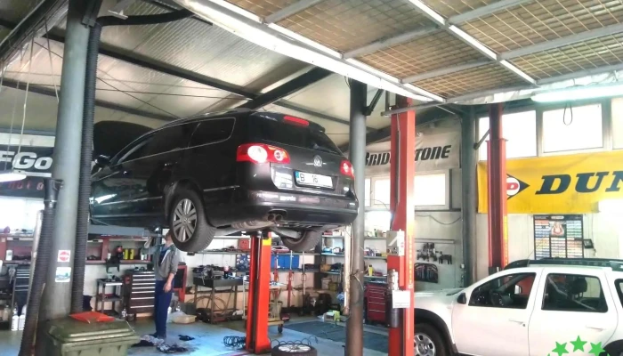 Roatanel - Bacău 600303