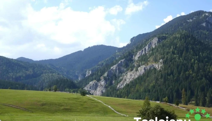 Rodut Plast - România