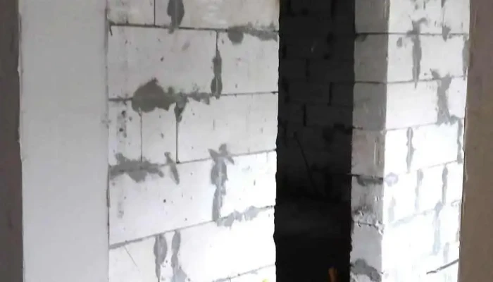 Rojiste Scor - Rojişte