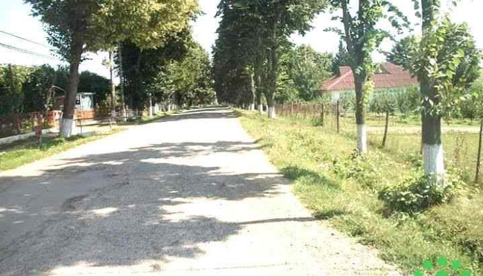 Roma -  Deschis Acum - Roma